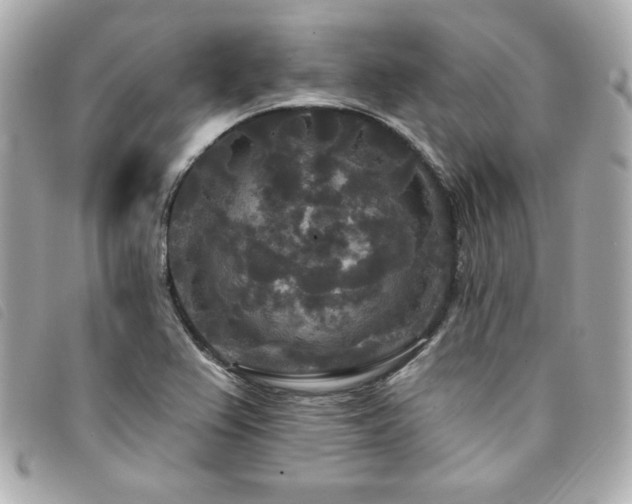 X0000094231367200710261248