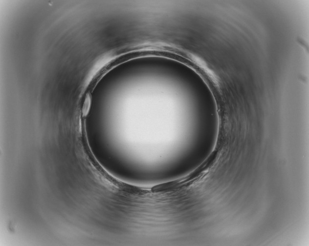 X0000094231368200710261248