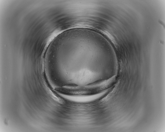 X0000094231371200710261248