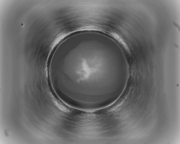 X0000094231372200710261248
