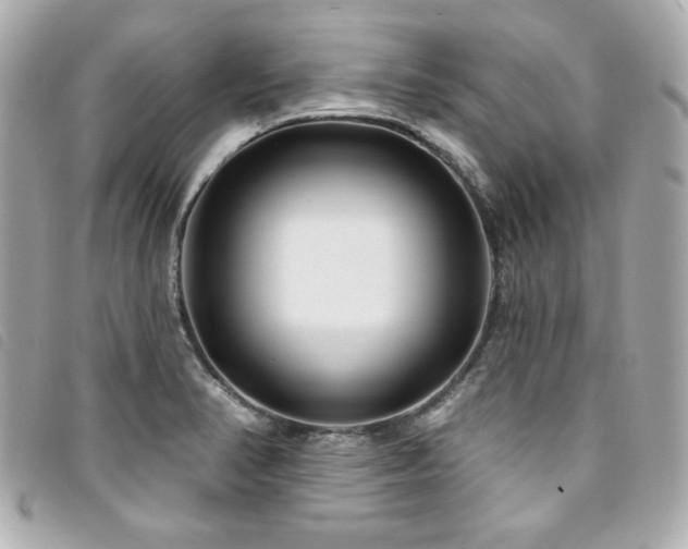 X0000094231374200710261248