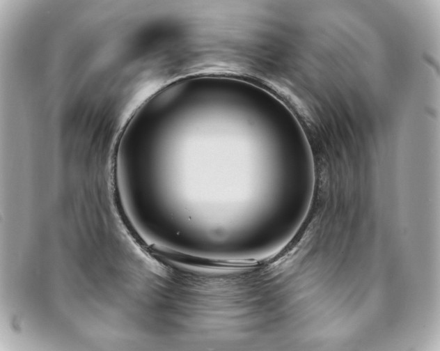 X0000094231375200710261248