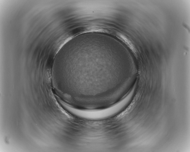 X0000094231377200710261248