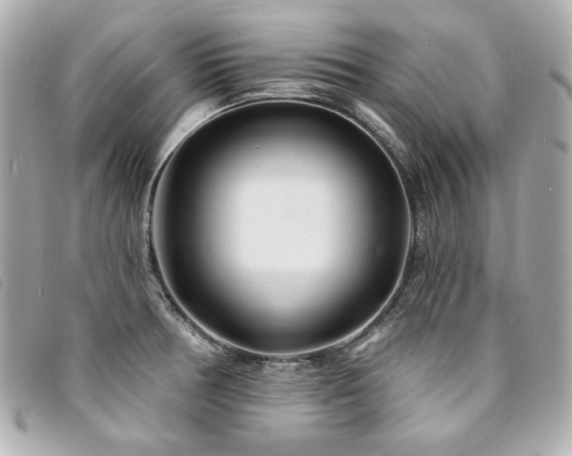 X0000094231378200710261248
