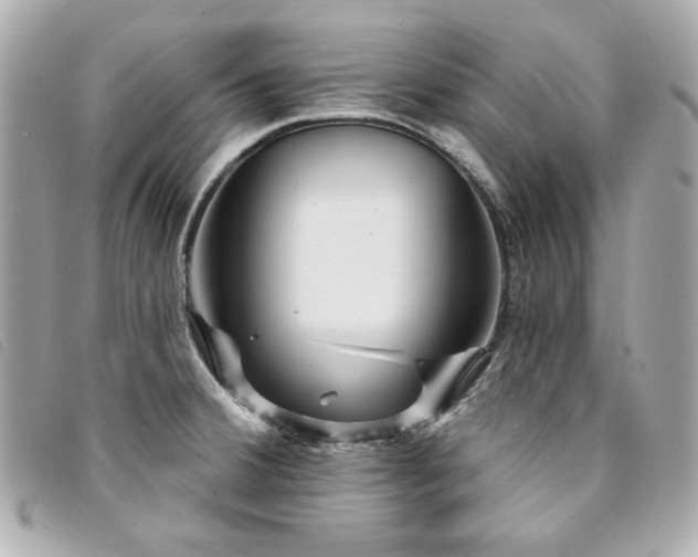 X0000094231380200710261248