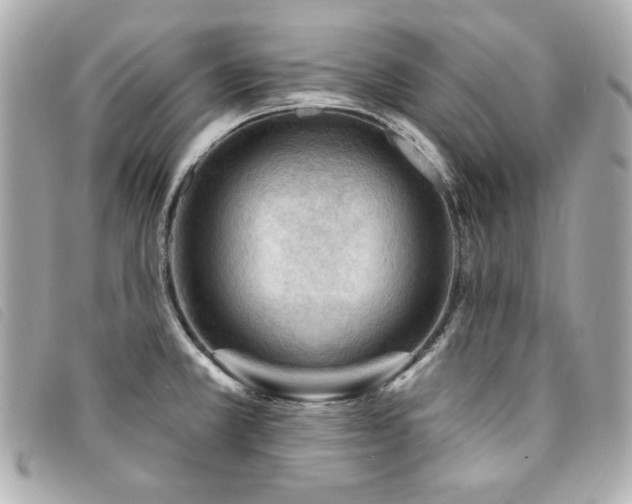 X0000094231381200710261248