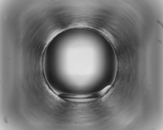 X0000094231382200710261248