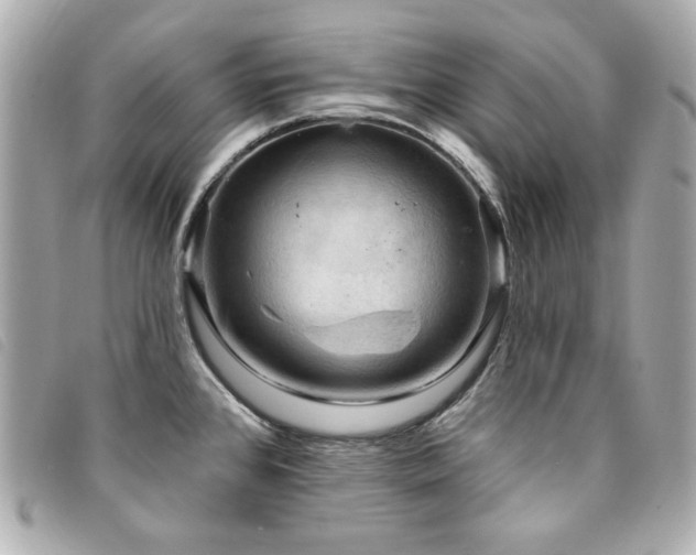 X0000094231384200710261248