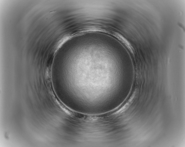 X0000094231385200710261248