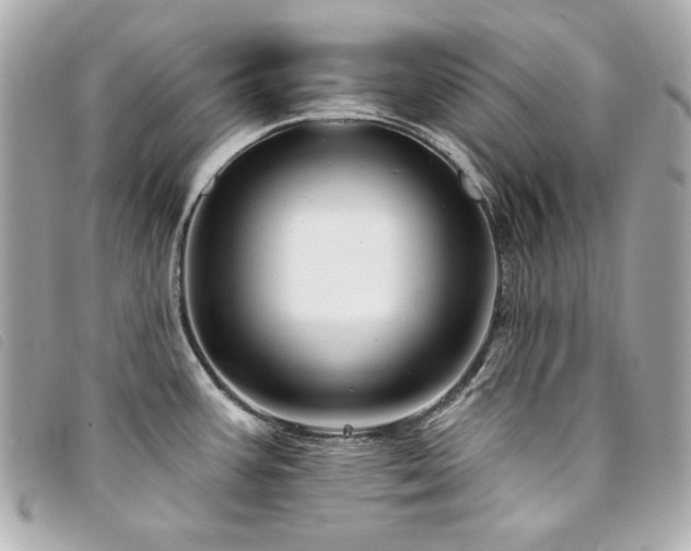 X0000094231387200710261248