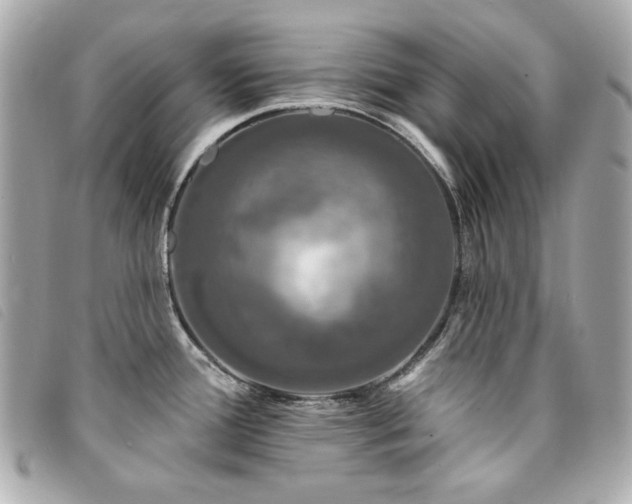 X0000094231388200710261248