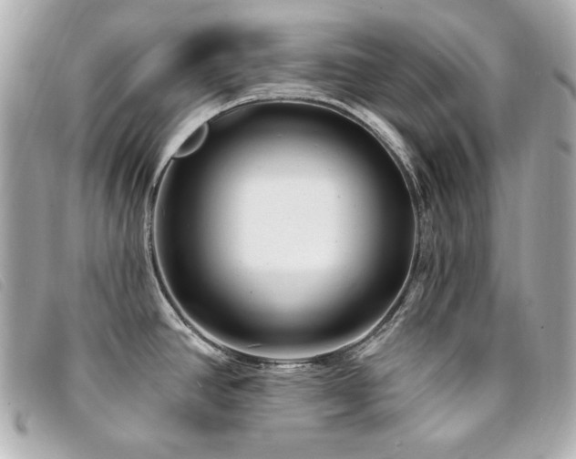 X0000094231390200710261248