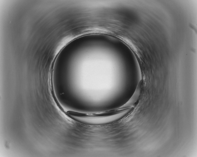 X0000094231391200710261248