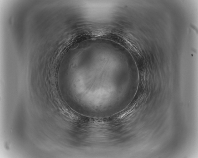 X0000094231393200710261247