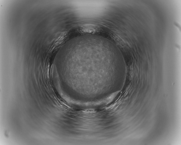 X0000094231394200710261247