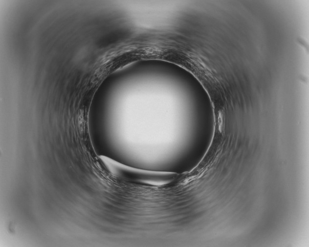 X0000094231395200710261247