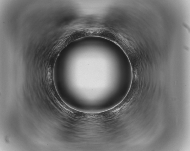 X0000094231396200710261247