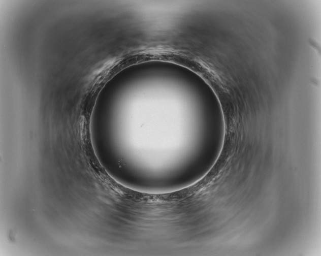 X0000094231398200710261247