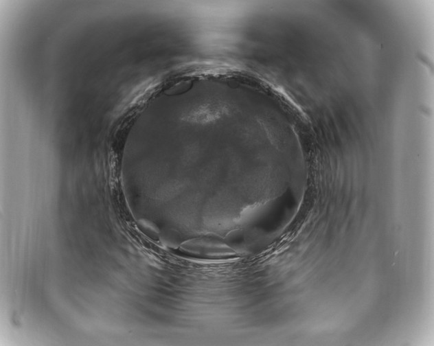 X0000094231399200710261247
