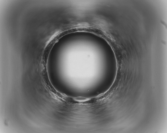 X0000094231400200710261247