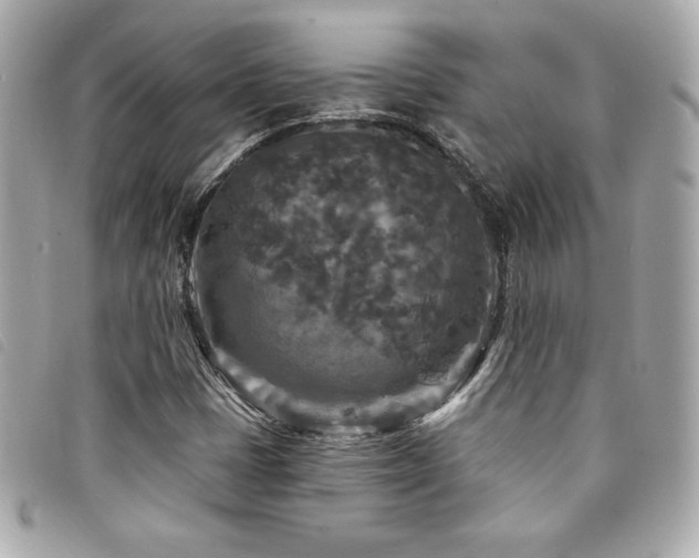 X0000094231401200710261247