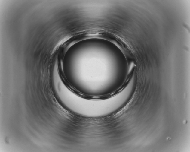 X0000094231402200710261247