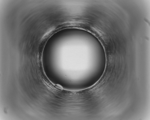 X0000094231403200710261247