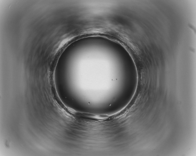 X0000094231404200710261247