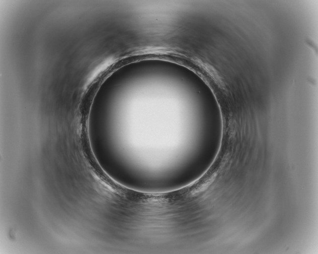 X0000094231406200710261247