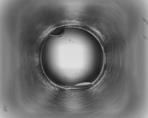 X0000094231407200710261247
