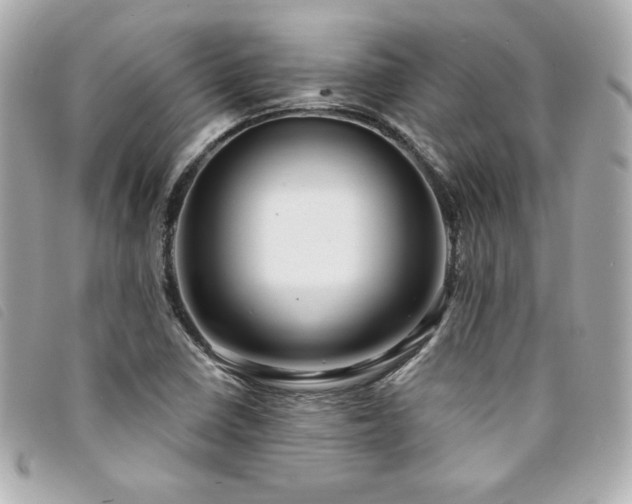 X0000094231410200710261247