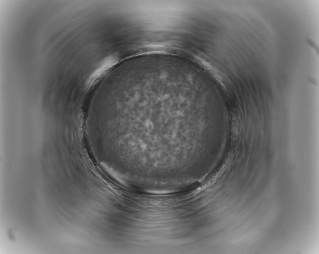 X0000094231411200710261247
