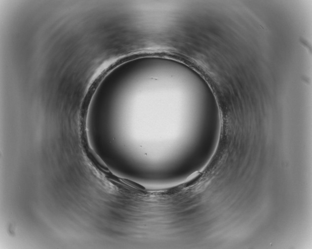X0000094231412200710261247