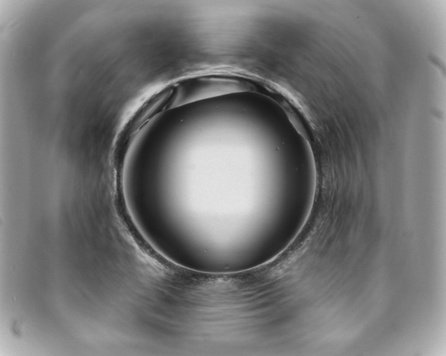 X0000094231414200710261247
