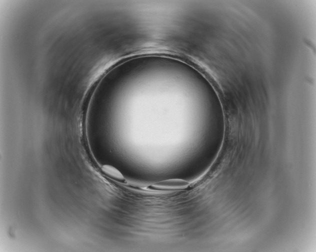 X0000094231415200710261247