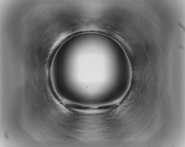 X0000094231416200710261247