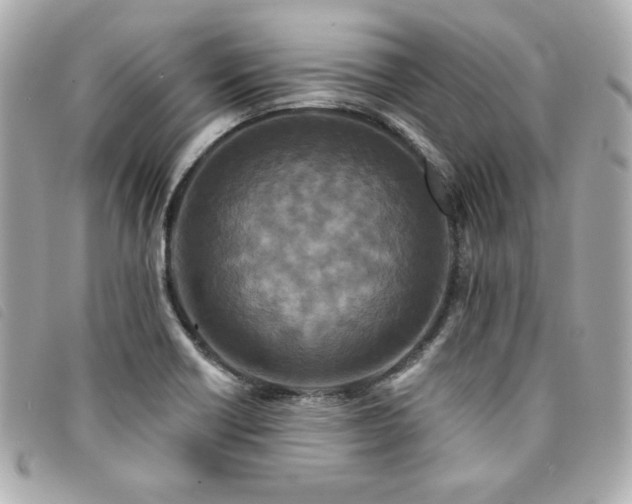 X0000094231418200710261247