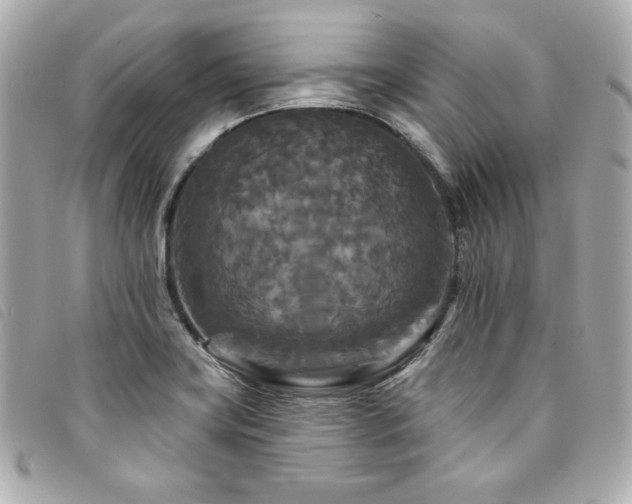 X0000094231419200710261247
