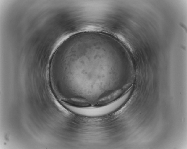 X0000094231421200710261247