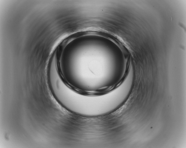 X0000094231422200710261247