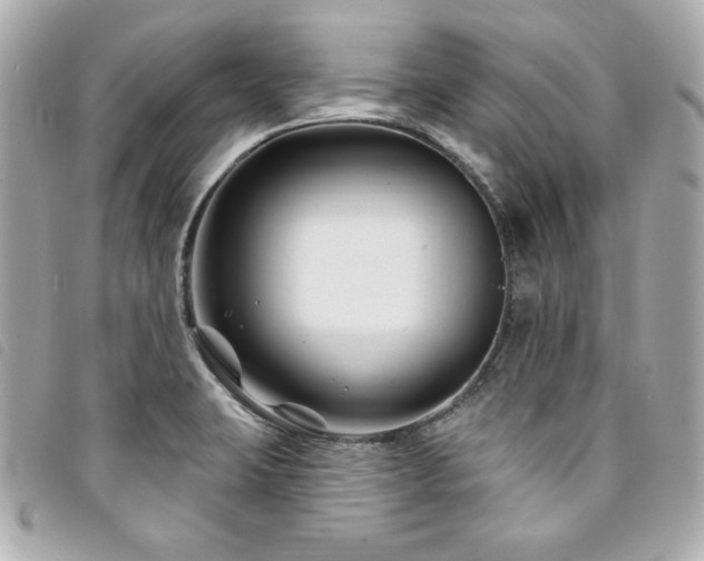 X0000094231423200710261247