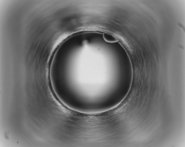 X0000094231424200710261247