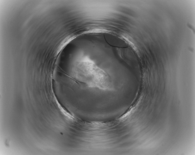 X0000094231425200710261247