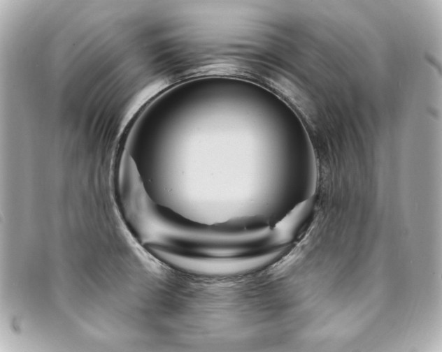 X0000094231426200710261247