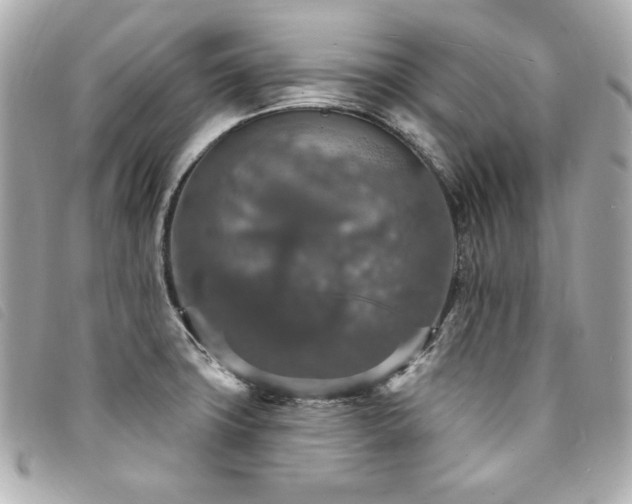 X0000094231427200710261247