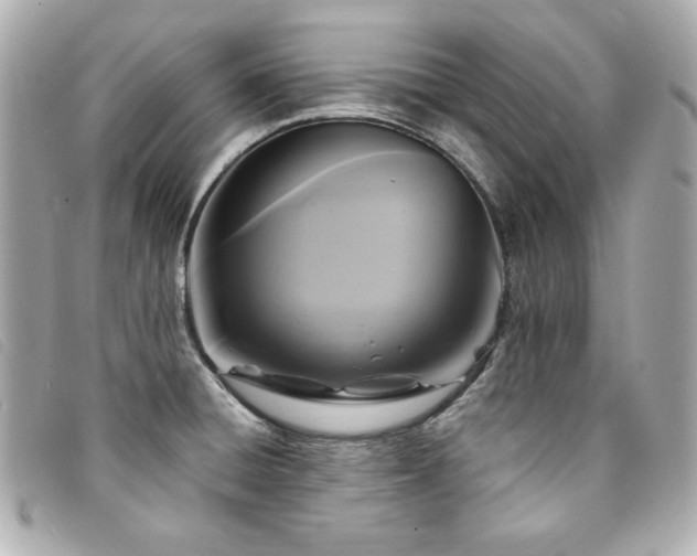 X0000094231428200710261247