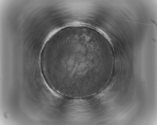 X0000094231429200710261247