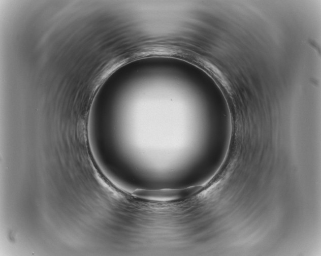 X0000094231433200710261248