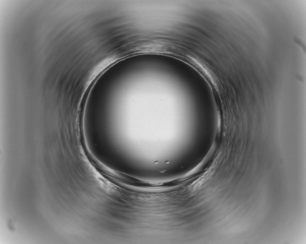 X0000094231434200710261248