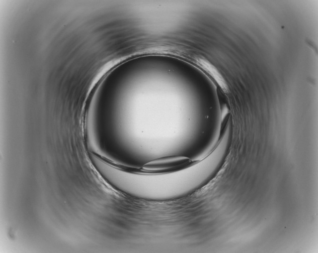 X0000094231436200710261248